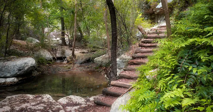 We Asked Peter Spiegel to Share Some of His Top Hiking Trail Picks in Texas